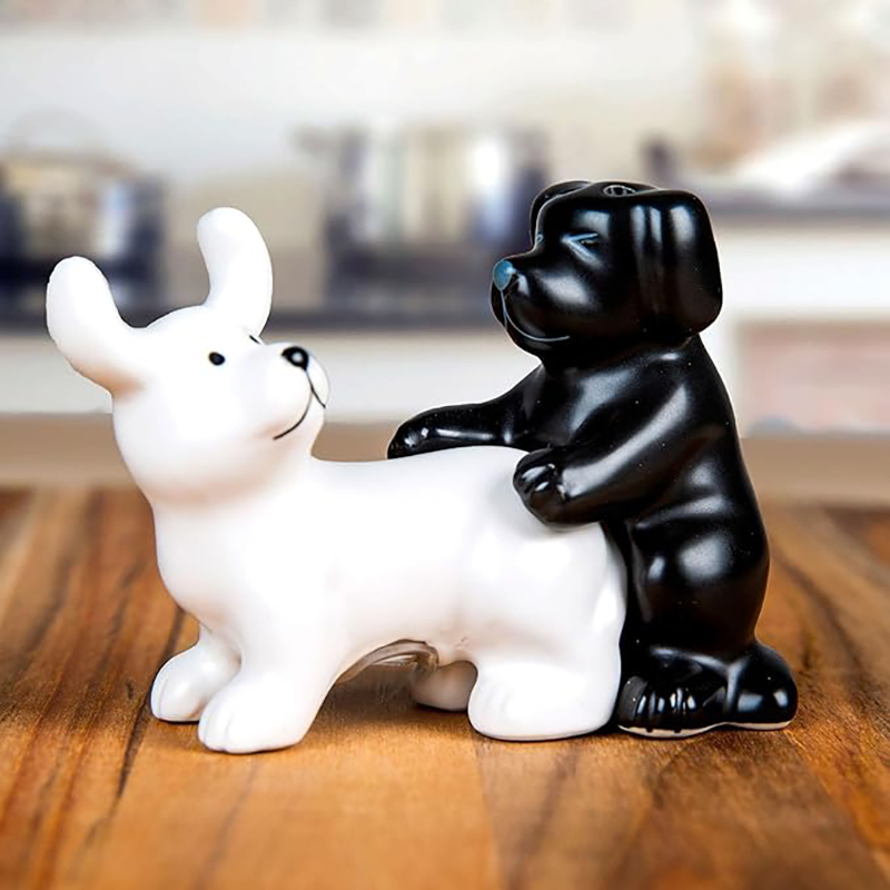 Kitchen Gadgets Novelty - 흑백 세라믹 강아지 소금 후추통 세트,