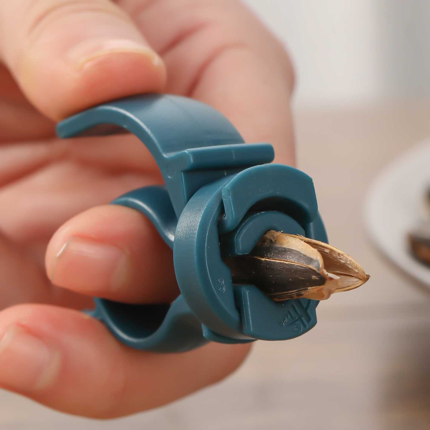 4개입 무작위 색상 창의적이고 간단한 작은 견과류 씨앗 - Kitchen Gadgets For Small Kitchens 리뷰 및 가격